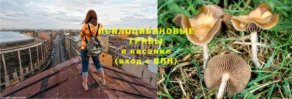 apvp Абаза
