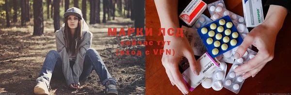 apvp Абаза