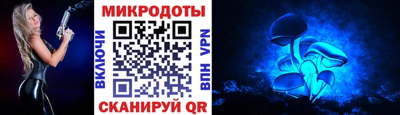 магазин Нестеровская сайты даркнета как зайти Псилоцибиновые грибы Psilocybe